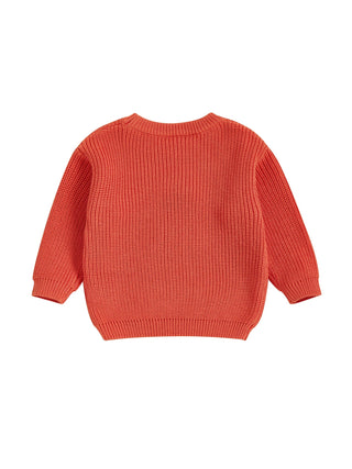 Baby Toddler Kids Girl Halloween Sweater Long Sleeve Round Neck Ghost Flower Embroidery Knit Pullover Top