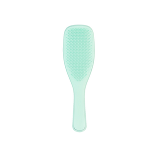 Tangle Teezer The Ultimate Wet Detangler Regular Jade Lagoon Mint Hair Brush - By Baano