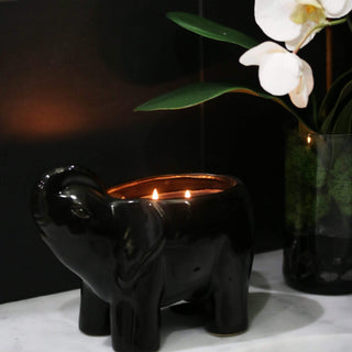 Black Elephant Candle Thompson Ferrier