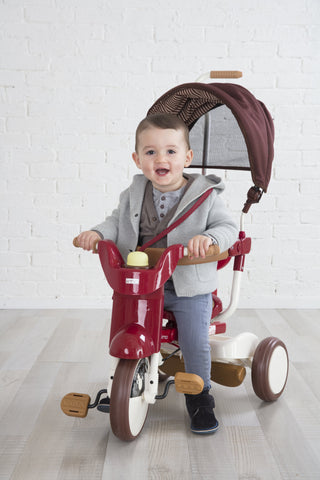 iimo 3-in-1 Foldable Tricycle with Canopy - By Baano