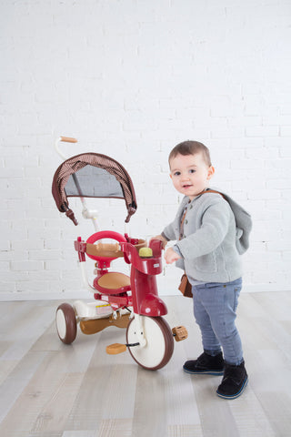 iimo 3-in-1 Foldable Tricycle with Canopy - By Baano