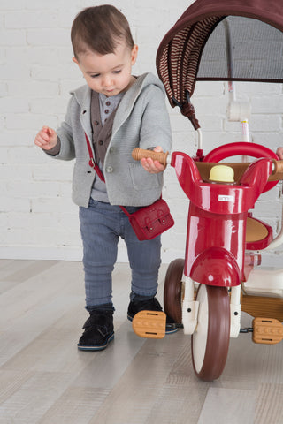 iimo 3-in-1 Foldable Tricycle with Canopy - By Baano