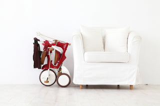 iimo 3-in-1 Foldable Tricycle with Canopy - By Baano