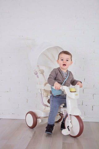 iimo 3-in-1 Foldable Tricycle with Canopy - By Baano