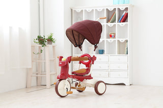 iimo 3-in-1 Foldable Tricycle with Canopy - By Baano