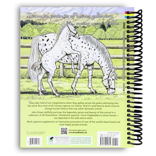 Wonderful World of Horses Coloring Book (Spiral Bound) - By Baano