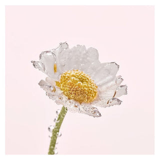 Yves Rocher Pure Camomile Face Wash Make-up Cleansing Oil 150 ml Chivela