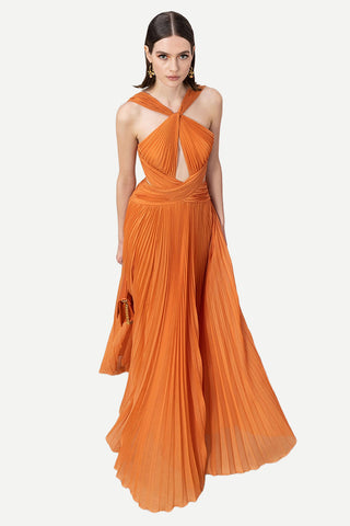 Arabella Chiffon Backless Maxi Dress - By Baano