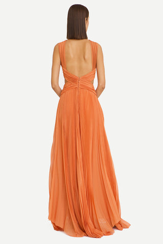 Arabella Chiffon Backless Maxi Dress - By Baano