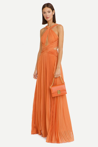 Arabella Chiffon Backless Maxi Dress - By Baano