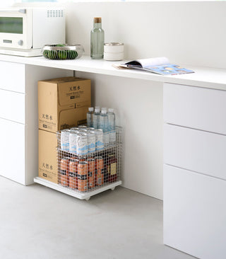 Rolling Caddy (2" H) - Steel - By Baano