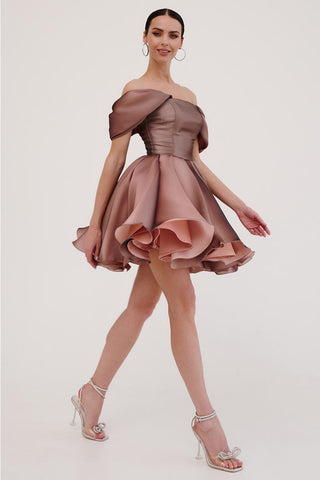 Blissful Diva Mini Skater Dress - By Baano