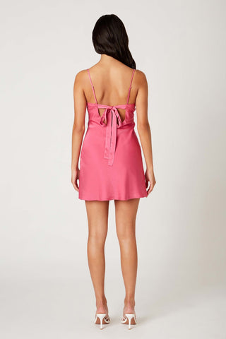 Lisa Mini Dress