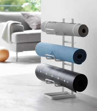 Fitness Equipment Storage Rack - Steel - By Baano