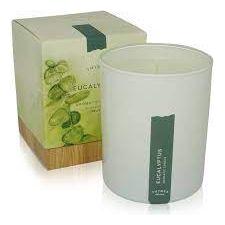 Thymes Poured Aromatic Candle Eucalyptus 9 Oz