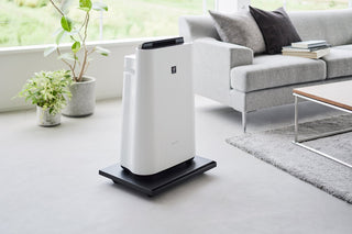 Rolling Caddy (2" H) - Steel - By Baano