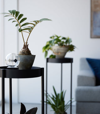 Two-Tier Rolling Plant Stand (28" H) - Steel - By Baano