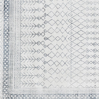 Distressed Moroccan Machine Washable Accent Area Rug 5' x 7' - Neve Collection