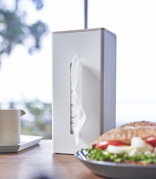 Two-Sided Tissue Case - Steel + Wood - By Baano