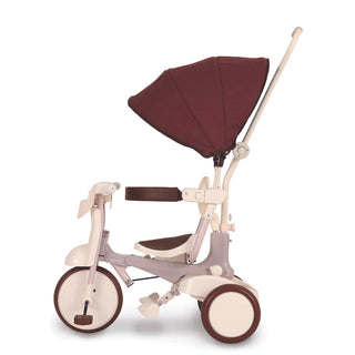 iimo 3-in-1 Foldable Tricycle with Canopy - By Baano