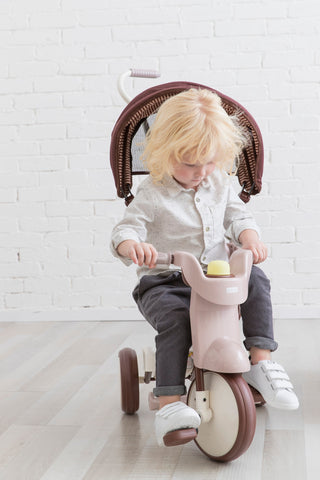 iimo 3-in-1 Foldable Tricycle with Canopy - By Baano