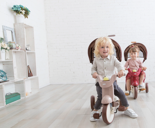 iimo 3-in-1 Foldable Tricycle with Canopy - By Baano