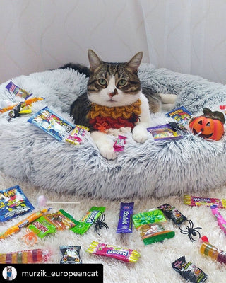 Mr. Peanut's 23" OrthoPlush® Pet Bed - Gray Two Tone - By Baano