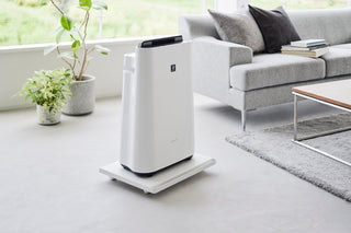 Rolling Caddy (2" H) - Steel - By Baano