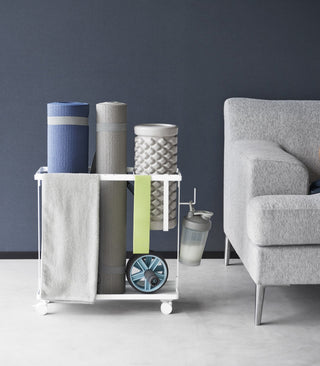 Fitness Equipment Storage Cart - Steel - By Baano