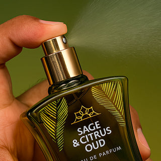 Sage & Citrus Oud Habibi NY