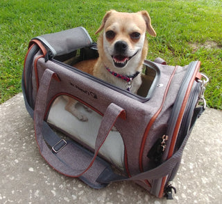 Mr. Peanut's Gold Series Standard Size Airline Compliant Pet Carrier Mr. Peanut's Pet Carriers