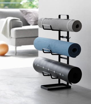 Fitness Equipment Storage Rack - Steel - By Baano