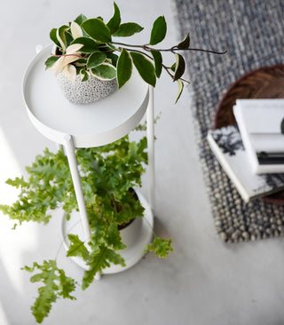 Two-Tier Rolling Plant Stand (28" H) - Steel - By Baano