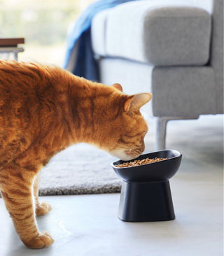 Tilted Pet Food Bowl Yamazaki Home