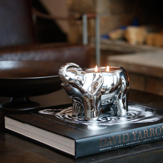 Silver Elephant Candle Thompson Ferrier