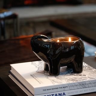 Black Elephant Candle Thompson Ferrier