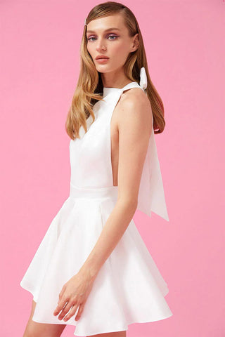 Timeless Charm Skater Mini Dress - By Baano