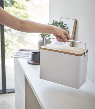 Odds-and-Ends Organizer - Steel + Wood - By Baano