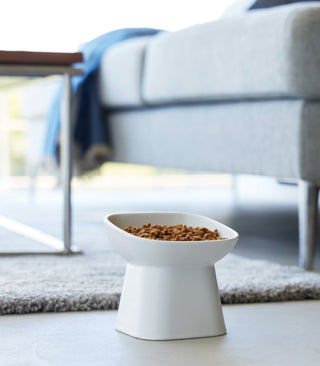 Tilted Pet Food Bowl Yamazaki Home