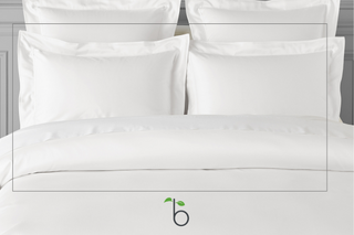 Sheet Sets White Full (20 CT)