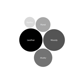 Santal Cave Reed Diffuser - By Baano