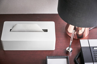 Tissue Case - Steel - By Baano