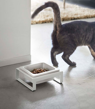Single Pet Food Bowl - Steel + Ceramic - By Baano