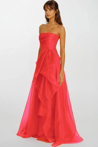 Zoya Strapless Maxi Dress - By Baano
