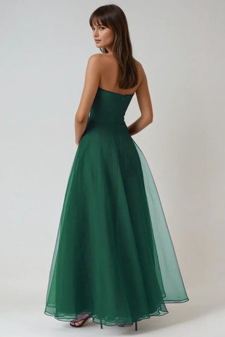 Zoya Strapless Maxi Dress - By Baano