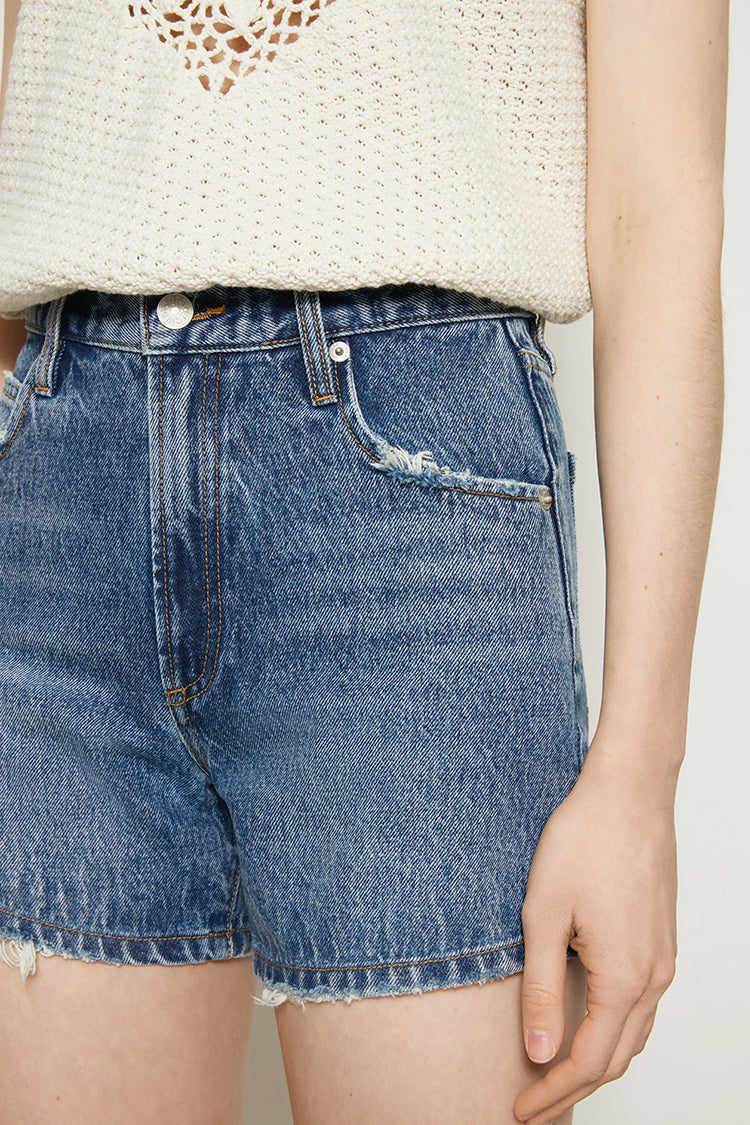 BOYISH Vintage High Rise Shorts HJ143 Hey Joanie