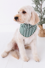 Green Stripes | DOG BANDANNA - By Baano