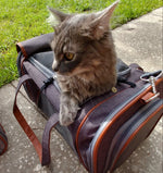 Mr. Peanut's Gold Series Standard Size Airline Compliant Pet Carrier Mr. Peanut's Pet Carriers