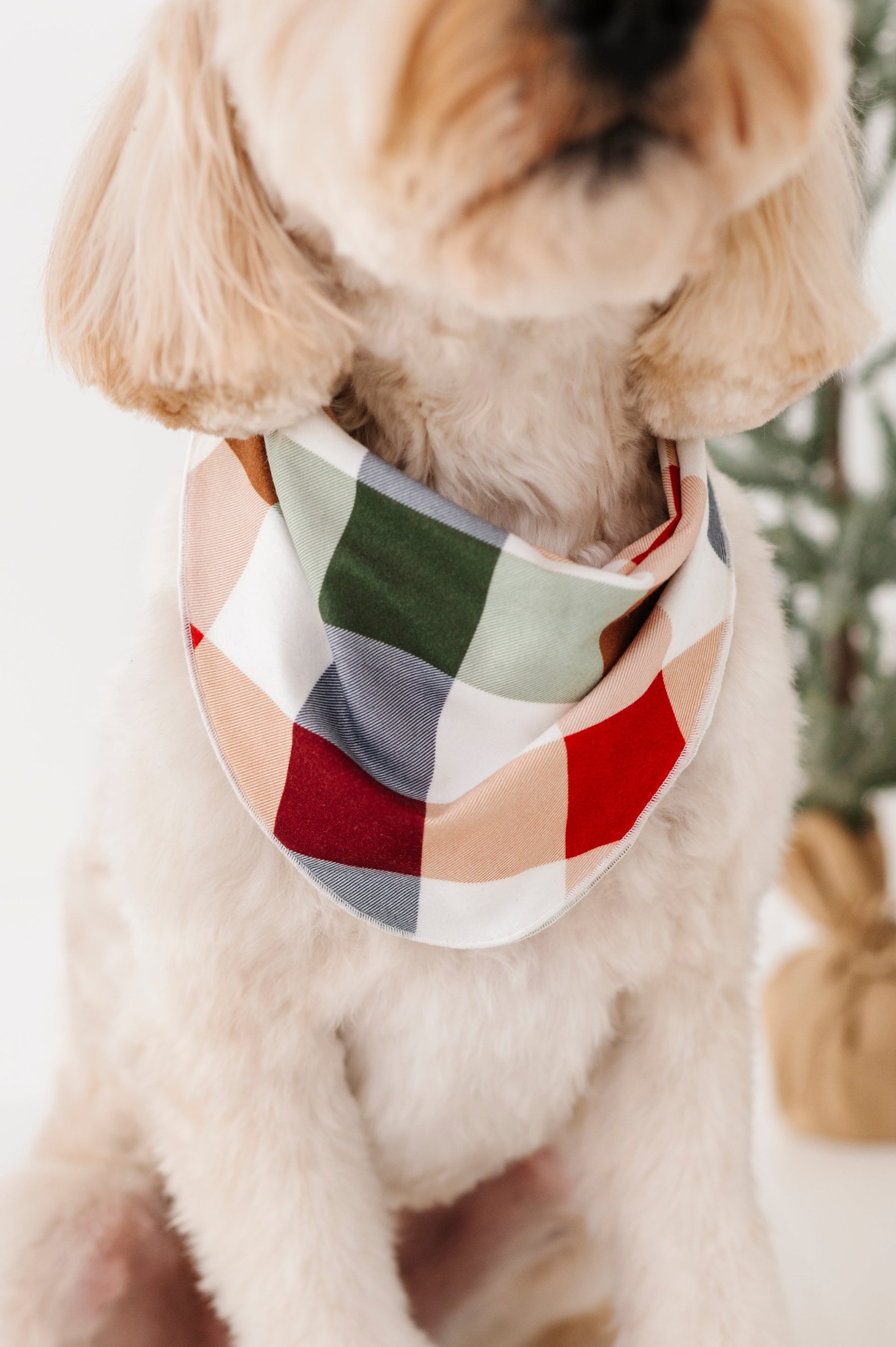 Holiday Plaid | DOG BANDANNA - By Baano