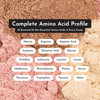 Coconut Chocolate Protein Powder - By Baano